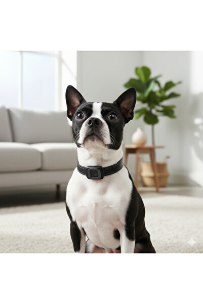 Zilvana Akıllı Otomatik Havlama Eğitim Köpek Tasması 3 Modlu Eğitim Cihazı Şa...