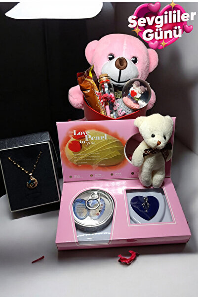 ganispe 14 Şubat Sevgiliye Romantik Hediye Kutusu | Kar Küresi | Çelik Gökyüz...