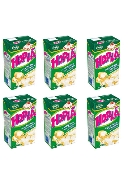 Hopla Şekerli Sıvı Krema (1 kg) x 6 adet