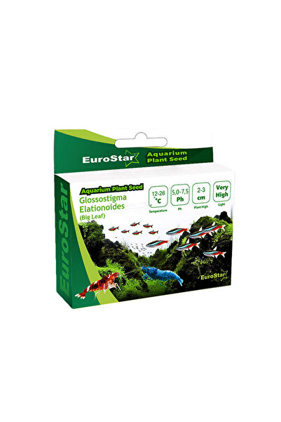 EuroStar 1613732746 Bitki Tohum (203237) Glossostigma Elatinoides