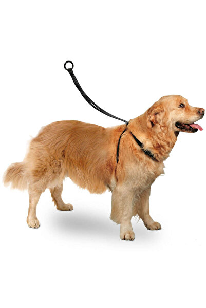 Karlie مقود الصدر سهل المشي 40*58 سم كبير