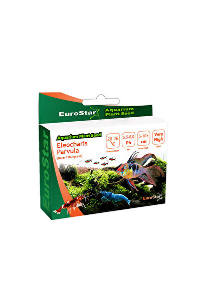 EuroStar 1613532746 Bitki Tohumu (203235) Eleocharis Parvula