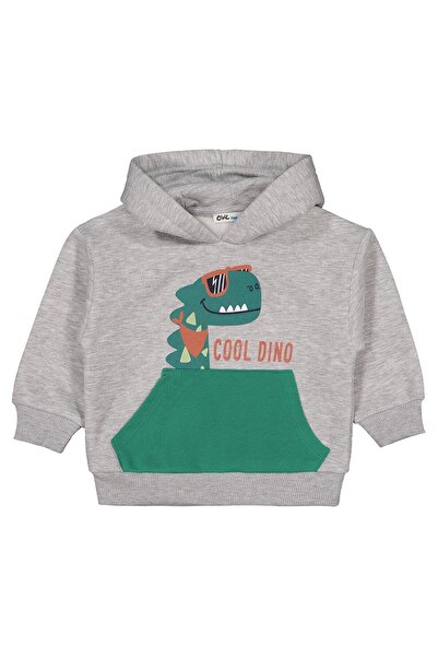 Civil Boys سويت شيرت دينو مطبوع لعمر 2-5 سنوات - رمادي لعمر 3-4 سنوات