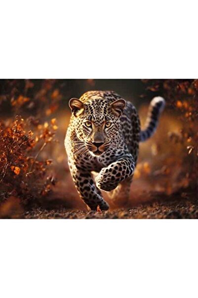 Trefl Puzzle Mercaton, 1000 de piese, fotografie cu leopard