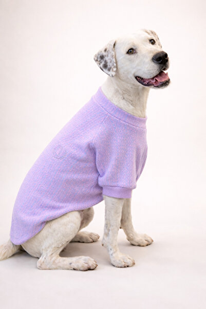 Alphadog Lila Soft Kedi / Köpek Kıyafeti Kazak