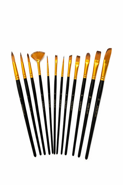 HANNAH 12 Parça Resim Akrilik Suluboya Yağlıboya Fırça Seti