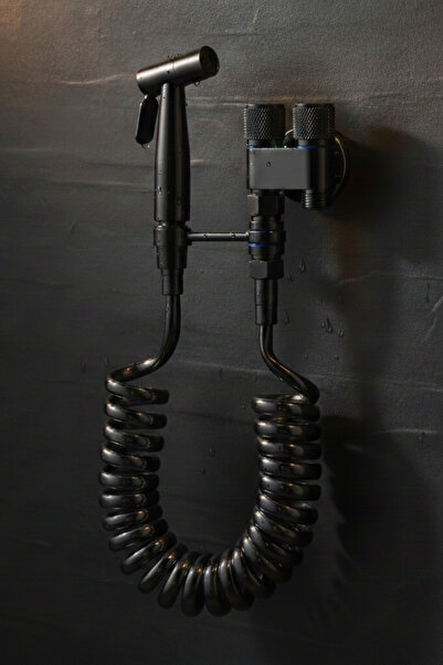 Skyline Orbion Матово черен комплект за тоалетна чиния (биде) - стомана, регу...