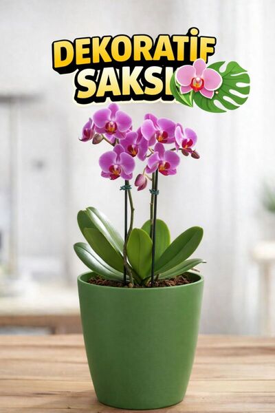 Plant Home Power Mix Orkide Saksısı Koyu Yeşil  Dekoratif Dış Saksı 1 Adet- 1...