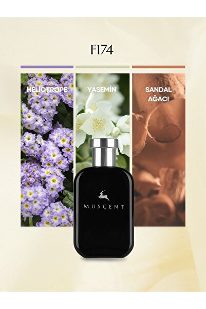 MUSCENT F174 Wondrlust 50 ml.