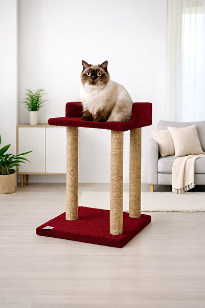 petlocations Terraced Cat Scratching Platform