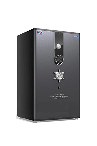 HAKAN KASA Hanhai Ekonomik Serisi Dijital Şifreli & Parmak İzli Akıllı Çelik ...