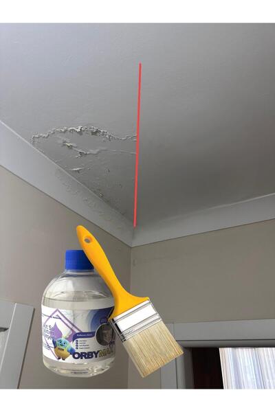 orbymax SGM sıvı duvar yalıtımı