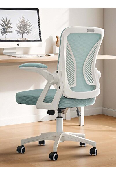 DROGO كرسي مكتب مريح فاخر، كرسي شبكي بظهر مرتفع مع مسند ذراع قابل للطي، وإمكا...