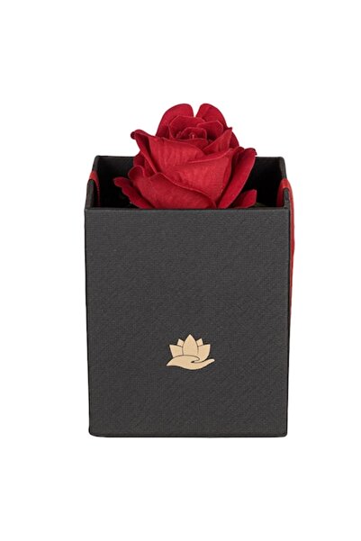 OEM Trandafir în cutie decorativă pentru cadou sau de Ziua Îndrăgostiților