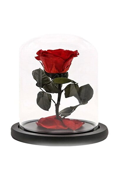 OEM Red Cryogenic Rose