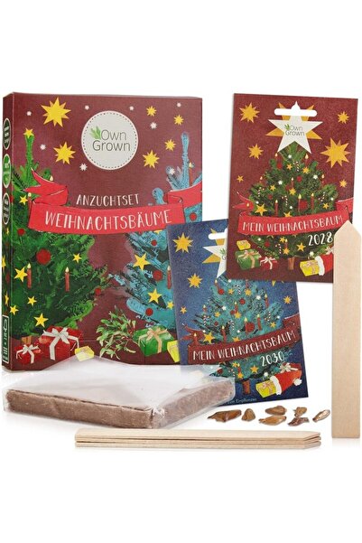 OwnGrown Set of 10 PREMIUM fir seeds with 5 blue spruce and 5 Nordmann fir,