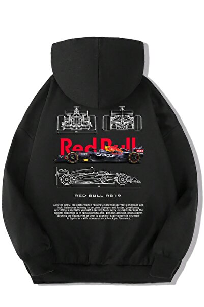 BRZ KIDS Unisex dečija majica sa kapuljačom Redbull Rb19