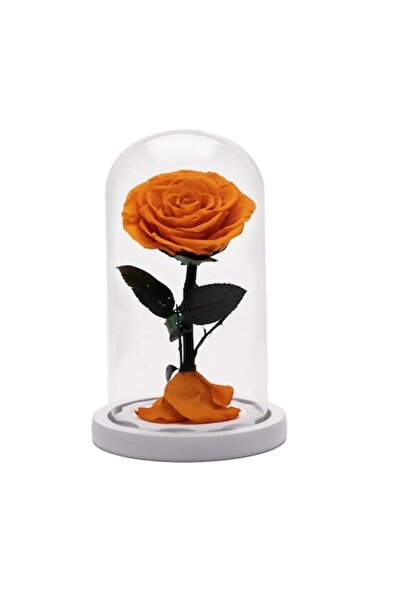OEM Eternal Rose in Glass Dome