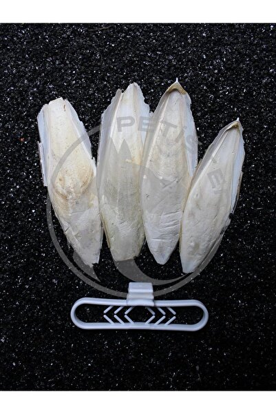 BRF PazarDunyasi 4'lü Kalamar Kemiği 9-10 cm + Tutacak 1112428