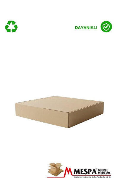 Markasız ucuz 25 x 25 x 9 ölçülerinde 50 ADET kalıplı E ticaret ve saklama ku...