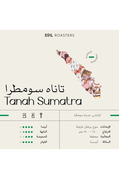 chemex co Soil Roaster - Indonesia TANAH SUMATRA Dried 250g