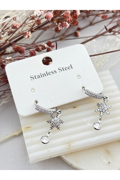 AYLAKAYA Steel Earrings