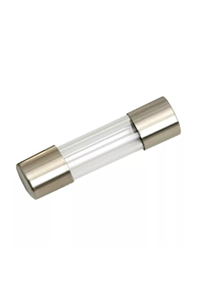 OEM Fast fuse 5x20mm 315mA Nexus