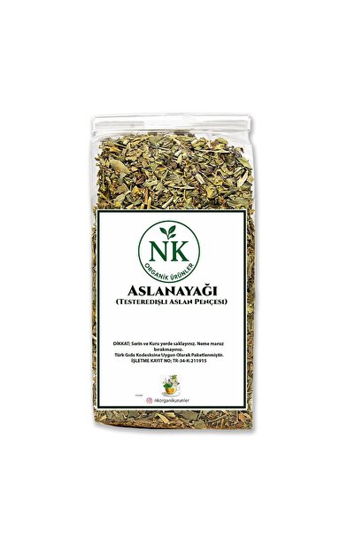 nk organik Lion's Paw Herbal Tea (Testeredish Lion's Claw) 100Gr