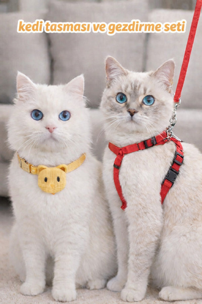CNSZ Kedi Tasması ve Gezdirme Seti Kayışlı 1.55cm Takım