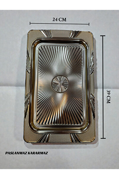 İnterlife Large Rectangular Stainless Steel Tray 24X39 cm – Stylish Presentat...