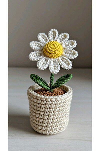 crafted by Nilüfer Mini Saksıda solmayan çiçekler ayçiçeği gül papatya lale