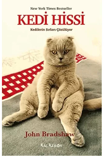 Generic Brand Kedi Hissi & Kedilerin Sırları Çözülüyor