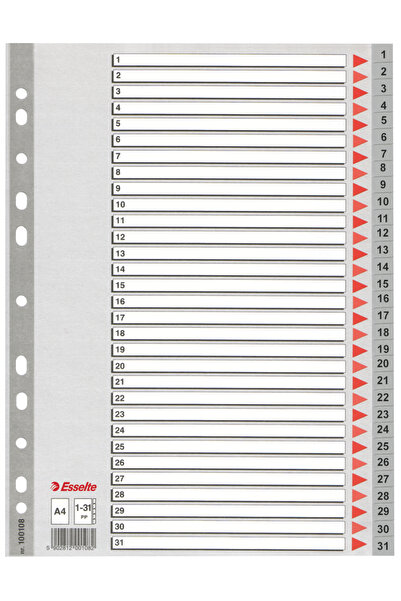 Esselte Plastic Index Dividers 1-31