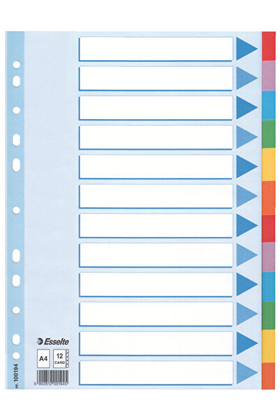 Esselte Cardboard Index Dividers 12 Sheets Standard