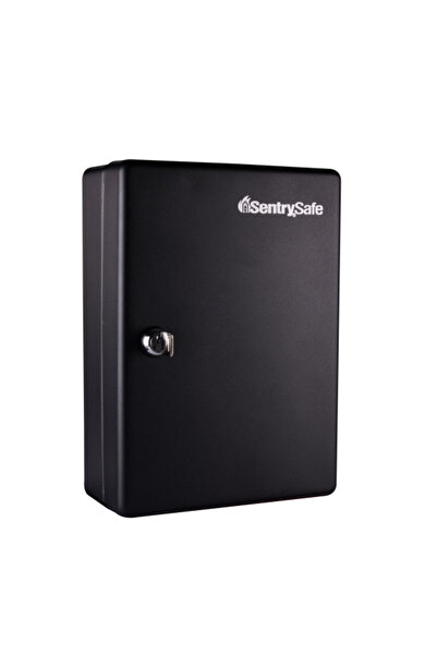 Sentrysafe 25-Keys Solid Steel Key Cabinet with Tags and Label 1kg
