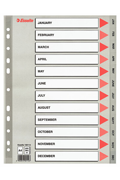 Esselte Plastic Index Dividers Jan-Dec