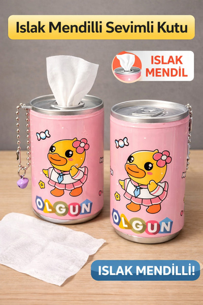 ASELYA Cute Designed Wet Wipe Box Set of 2 – Wipe Container with Metal Lid