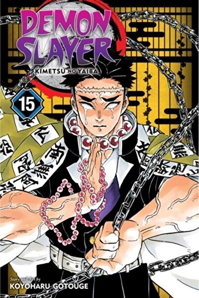 Viz Media, Subs. of Shogakukan Inc Demon Slayer: Kimetsu no Yaiba, Vol. 15, K...