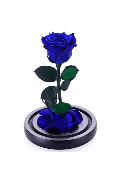 OEM XL Blue Cryogenic Rose in Glass Dome