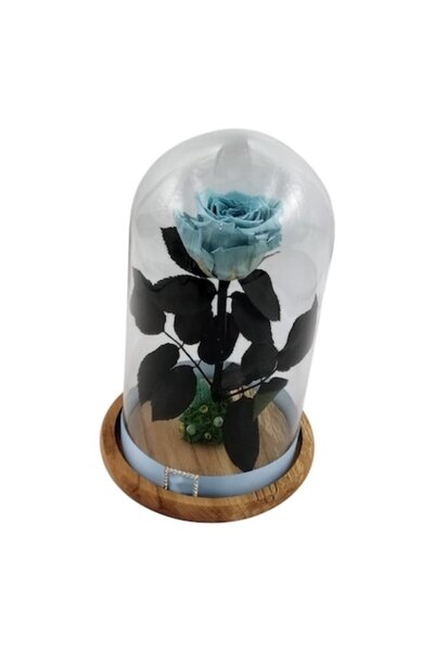 Wide Flowers Cryogenated Rose, Light Blue on Moss Bed, in Glass Dome 25cm
