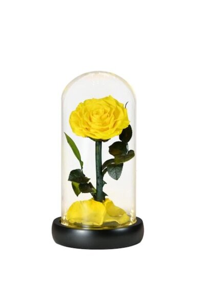 OEM Yellow Preserved Rose Luxury in Glass Dome