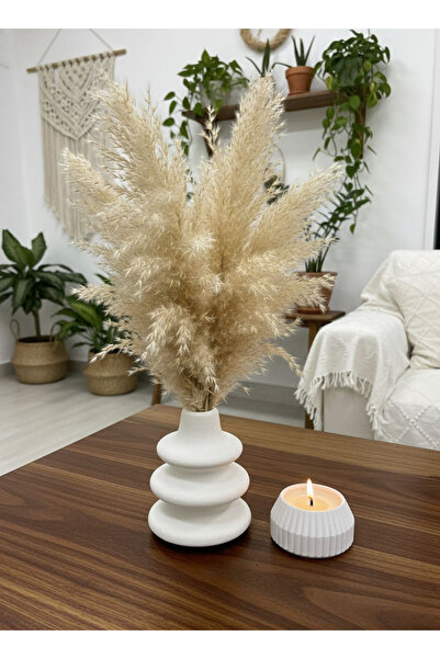 Nova Deco مجموعة من 2 مزهرية على الطراز الاسكندنافي البوهيمي مقاس 10 سم هدية ...