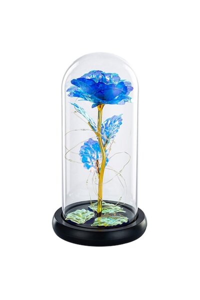 OEM Eternal Preserved Rose in Glass Dome