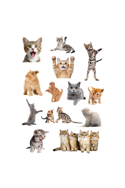 Bimotif Karışık 130 adet sevimli kediler notebook, tablet, telefon sticker se...