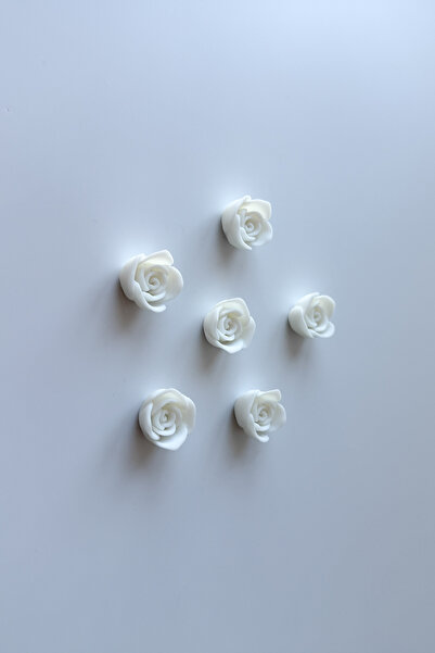 sin istanbul 6'lı Gül Buzdolabı Magneti