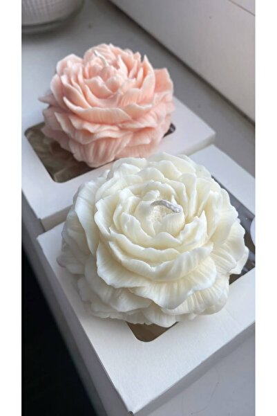 HanımeliAtölyesi Şakayık Gül Mum İkili