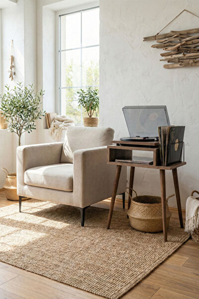 DEQQU Solo 45x35x63cm Pikap Sehpası Tek Organizerlı Plak Düzenleyici Yan Sehpa