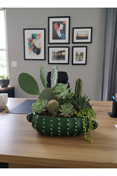 OEM Beton saksı dekoratif Sukulent Bonzai Aranjman çiçek kaktüs saksısı Geniş...