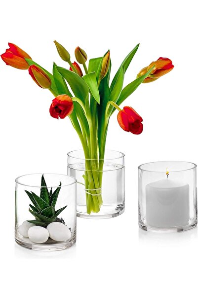Mado Gallery 12pcs Cylinder Glass Vases for Home & Wedding Decor, Flower & Ca...