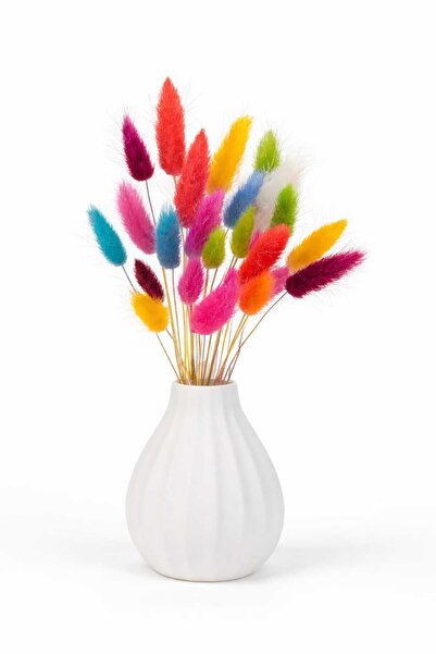 Fest Pamuk Otu Çiçeği 30 Dal – Karışık Farklı Renk | Dekoratif Kuru Çiçek | A...